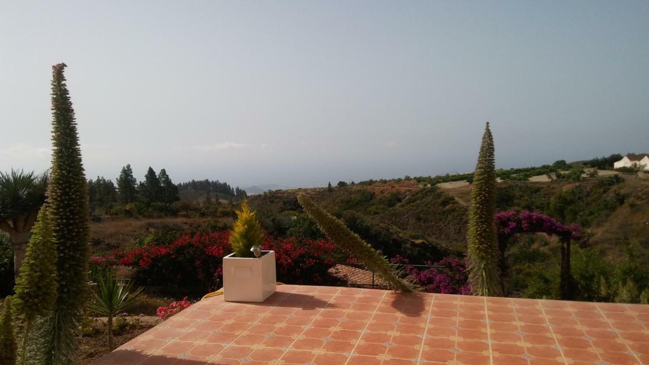 Finca Dulce Maikel Granadilla De Abona Exterior foto