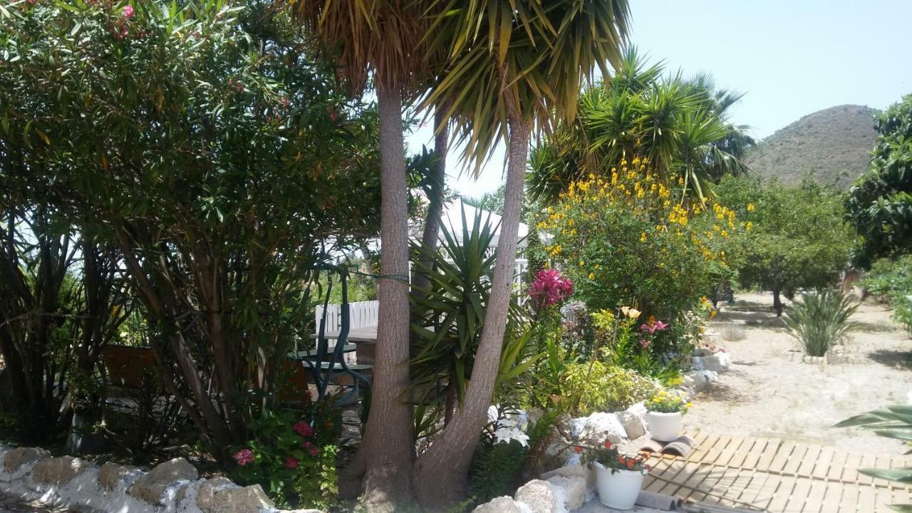 Finca Dulce Maikel Granadilla De Abona Exterior foto